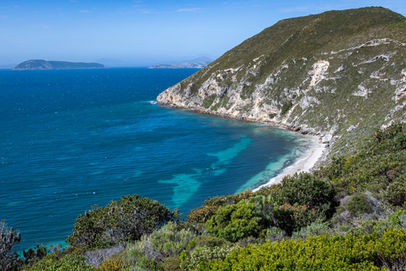 Bald Head Walk Trail