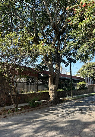 WhatsApp Image 2025-12-18 at 15.55.51.jpeg