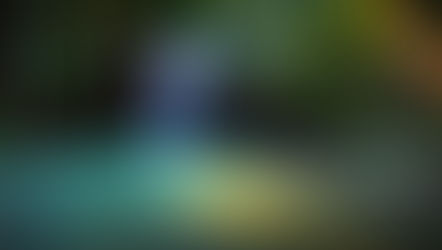 Tell your story and seek guidance in a calm, non-judgmental environment