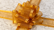 gold-birds 06.png