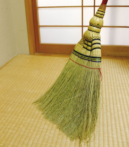 ほうき草