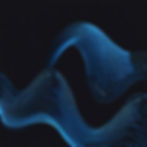 dark abstract wavy blue lines black background.jpg