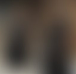 Palazzos: Un básico en invierno