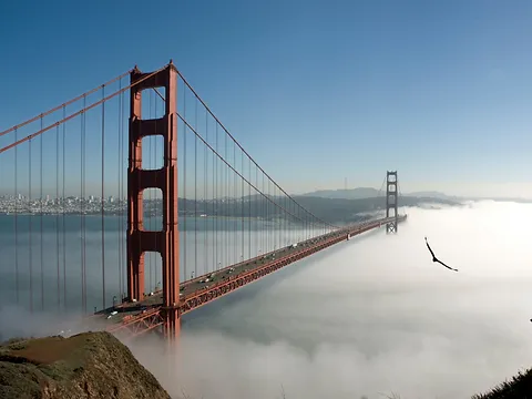 Virgil Rose Consulting