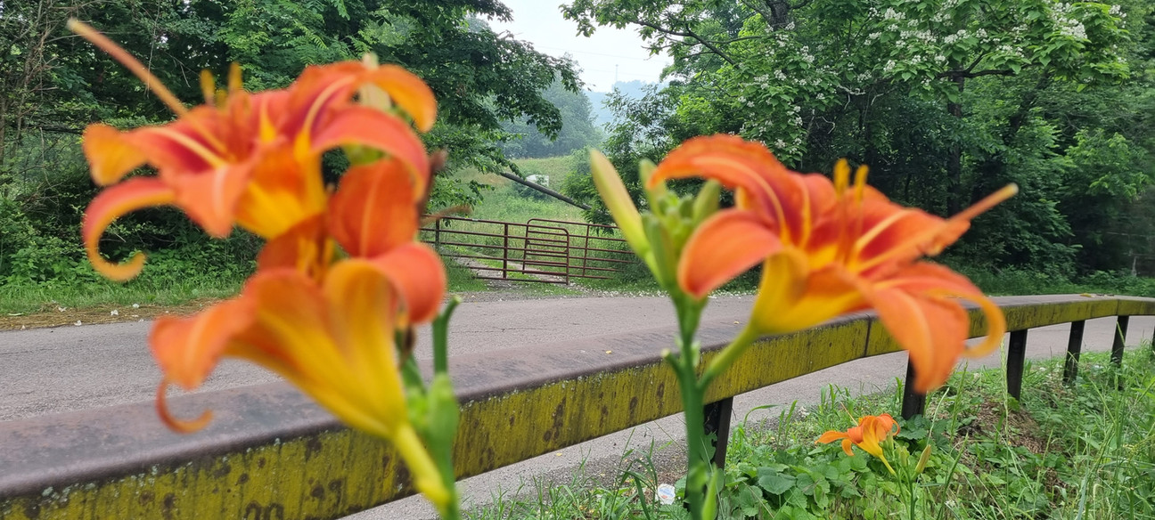 20230628_135735.jpg