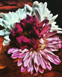 14433156_10157430634385392_1809254606024975097_n