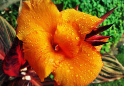 14102255_10157325611875392_5177026180972674074_n