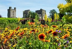 Screen Shot 2020-04-12 at 02.10.29.png