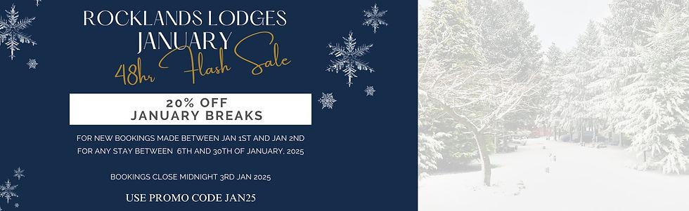 #162c4b (2)_edited.jpg