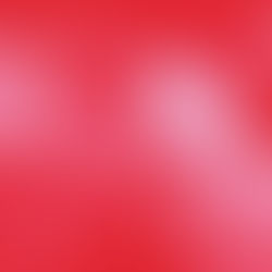 Secret Attraction - Blush