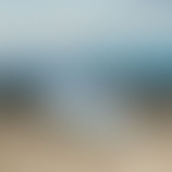 Hollie Kenniff - Field Edge