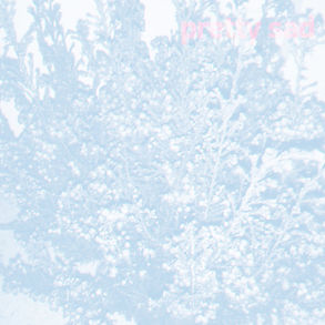 Pretty Sad - Wish You Knew