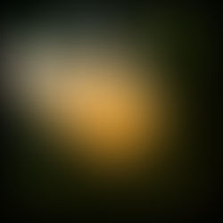 Outer Dark - Schaefer Road