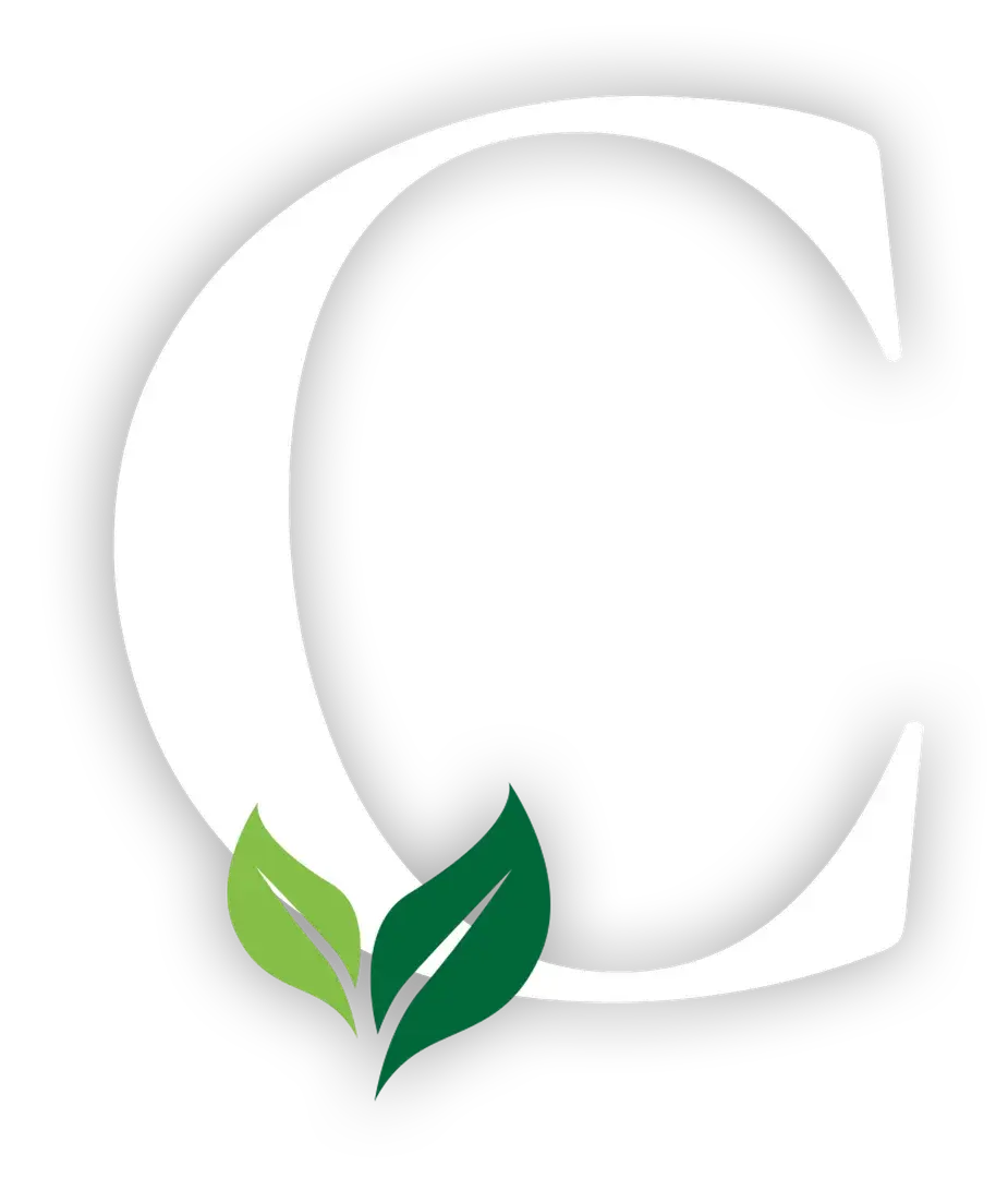 mindful - logo bianco.webp