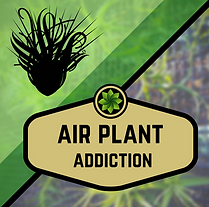 AIRPLANT ADDICTION.png