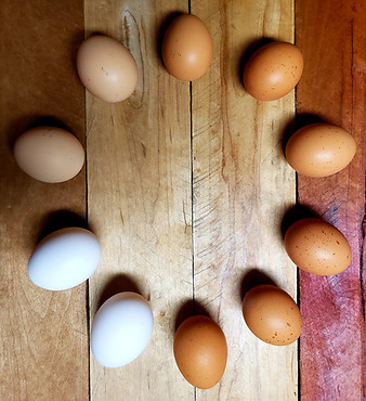 eggs 2.jpg
