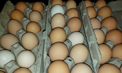 eggs.jpg