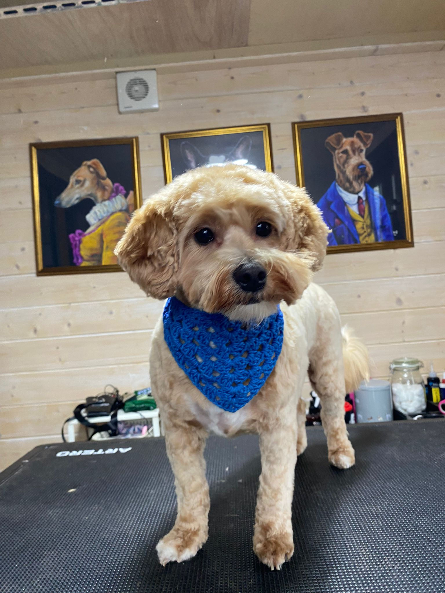 Blue Crochet Bandana