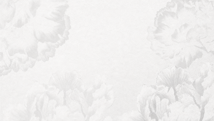 fondo bonito.png