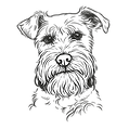 OSOOOO.png