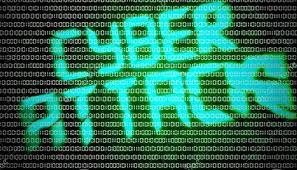 La suspensión temporal del Internet de la empresa ETAPA se debe a ataque cibernético