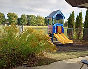 School yard clean up