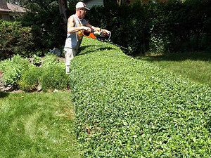 Residential property maintenance services