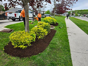 Commercial property services