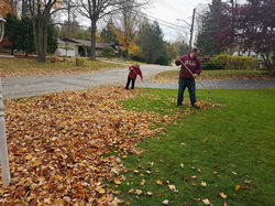 Crew raking leaves in neighbourhood