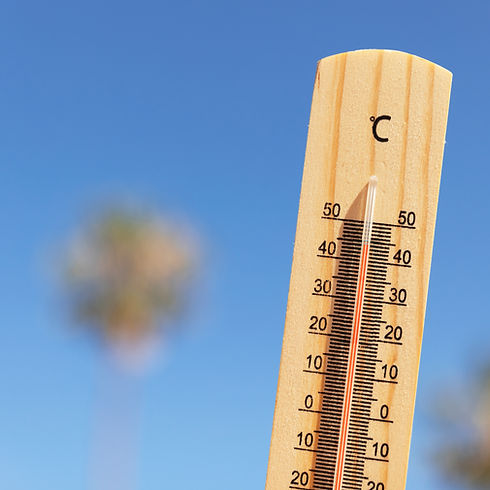 Alerte canicule