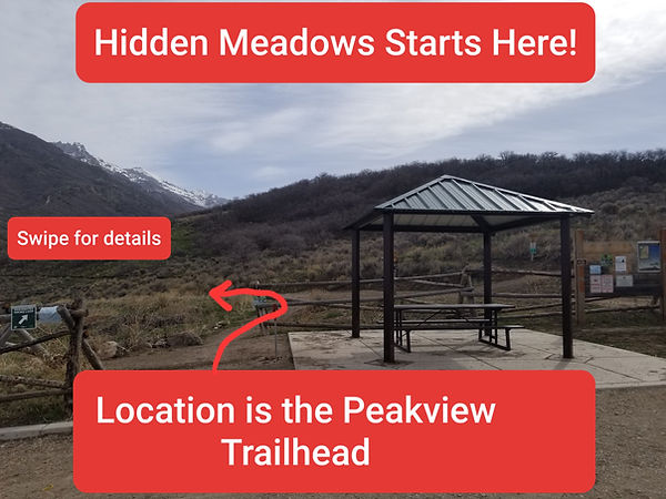 20220716_092754 (1).jpg