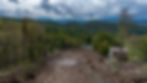 DJI_20240930133817_0017_D.jpg