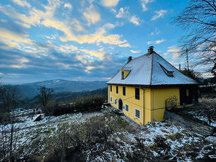 Update: Weinmeisterhaus Pöstlingberg schützen!