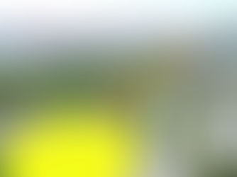 Letzte Chance für einen guten IT:U-Standort