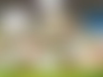 Spitzensportförder...äh "Sponsoring": Trotz Budgetkrise gehen 400.000 € an LASK und Blau-Weiß 