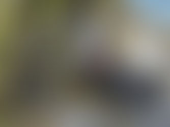 Volksgarten und Weihnachtsmarkt sind ein Desaster – wann hört das endlich auf?