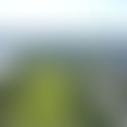 Regional-Stadtbahn Linz – Umsetzungs-Garantie für Gesamtprojekt 