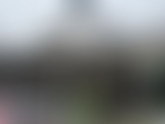 Rosengarten am Pöstlingberg: Vier Monate Kultur, acht Monate Gerüst?