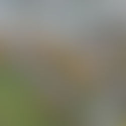 Bundesdenkmalamt: Tag des Denkmals