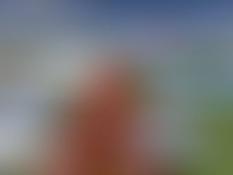 Regional-Stadtbahn Linz – Umsetzungs-Garantie für Gesamtprojekt 