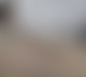 Linzer Busbahnhof ist eine Zumutung! 