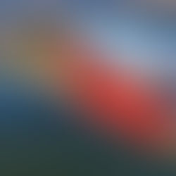 LINZplus deckt auf: Scharfe Kritik an Donauspitz-Umwidmung. Nun prüft Stadtrat Prammer.