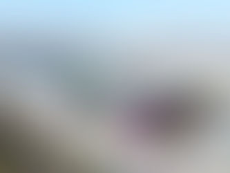 Donauparkstadion: Von 9 auf 59,9 Millionen in wenigen Jahren. 