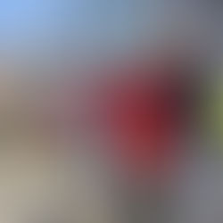 3. Bürgerantrag: Erster inklusiver Spielplatz in Linz über Verein „U are Special“