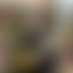 2. Bürgerantrag – Linzer Budget für Skate Parks dank EU-Förderungen endlich aufstocken.