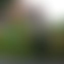 50 years as Carillonneur!