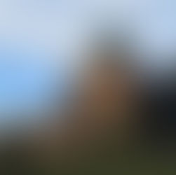 Carillon Recitals Resume!