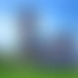 Bournville flying the flag at the World Carillon Congress