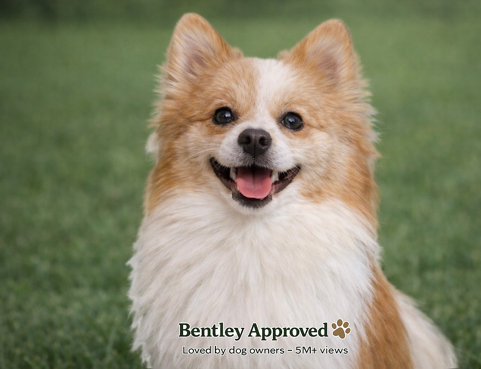 Poop Cleaning Mascot Scv