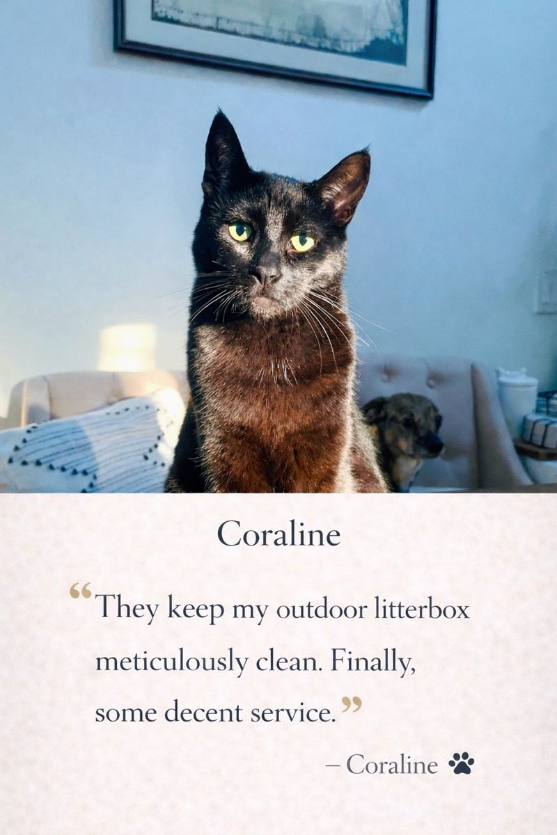 ChatGPT Image Jan 13, 2026 at 01_32_09 PM.png